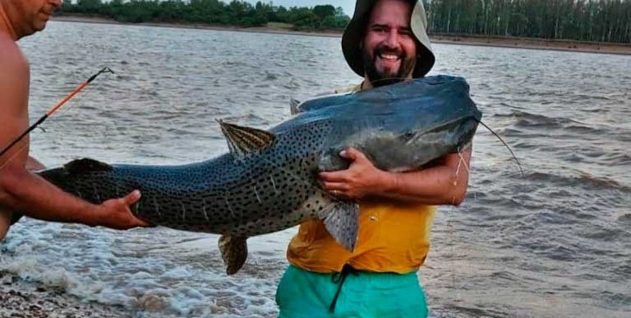 Video: pescó un surubí gigante de 40 kilos desde la costa en el río Uruguay