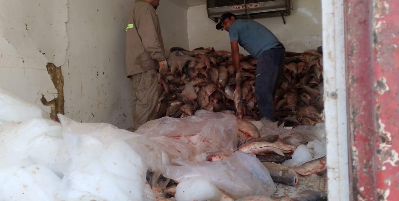 Decomisaron 3.000 sábalos en un operativo de control en Arroyo Seco