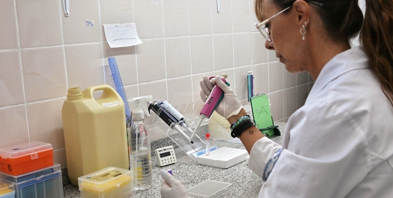 Se confirmaron tres casos de dengue en la ciudad de Santa Fe