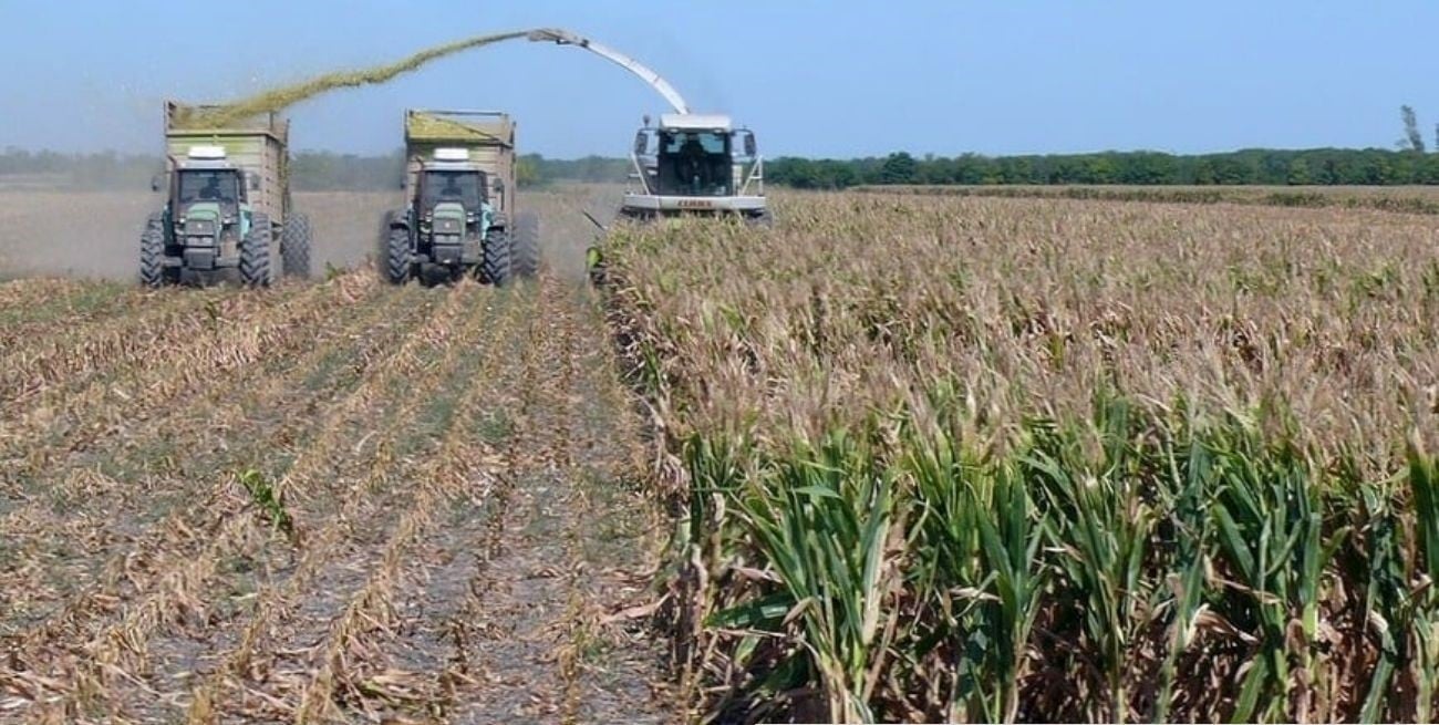 El clima volvió a condicionar las tareas agrícolas en el centro norte santafesino