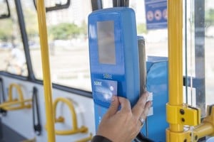 Personas beneficiarias podrán renovar el atributo desde el 12 de agosto.