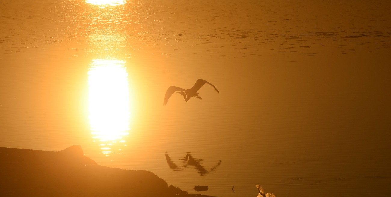 Alerta por calor extremo en cinco provincias de Argentina