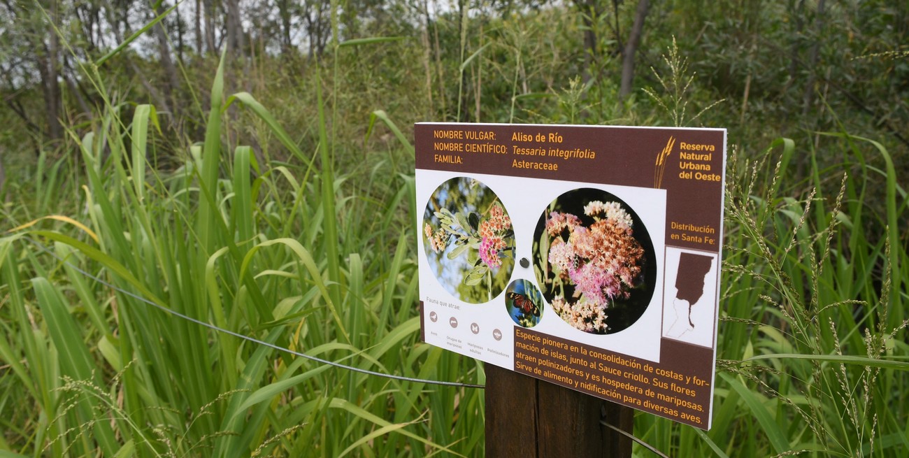 Durante febrero se realizarán visitas guiadas gratuitas a los humedales de Santa Fe