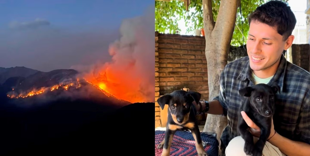 La app que ayuda a encontrar mascotas perdidas en incendios de la Patagonia