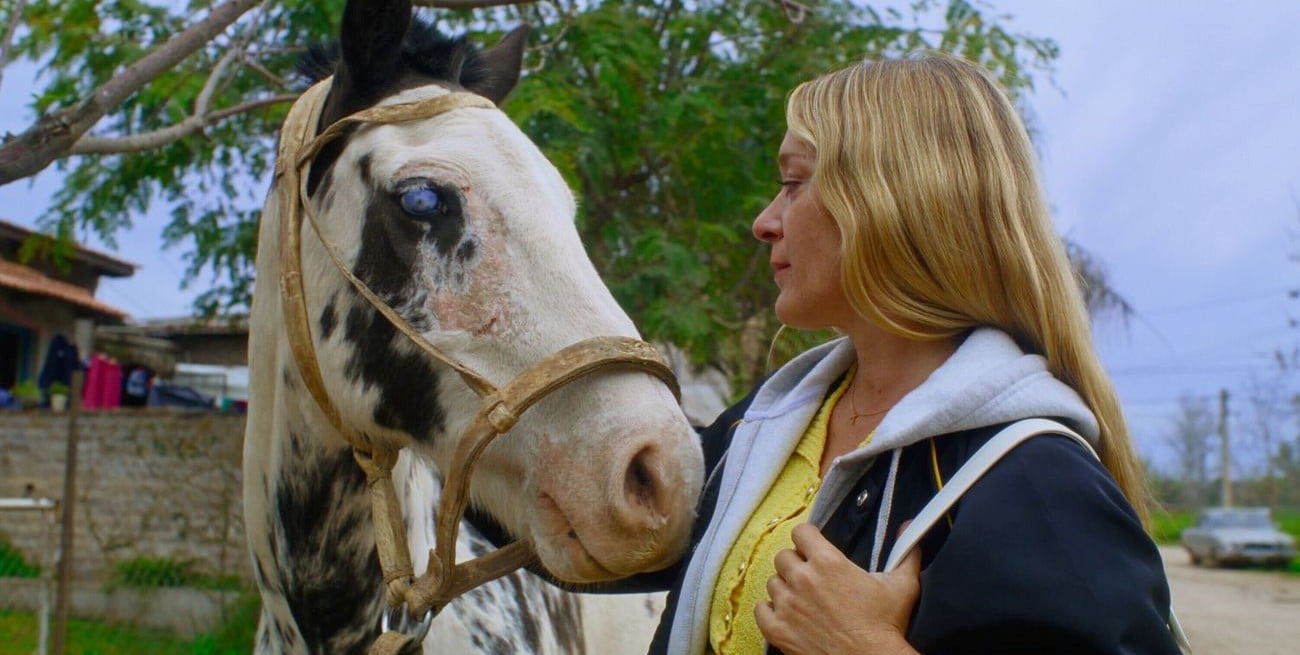 Realismo mágico brasilero y humor absurdo en el campo argentino