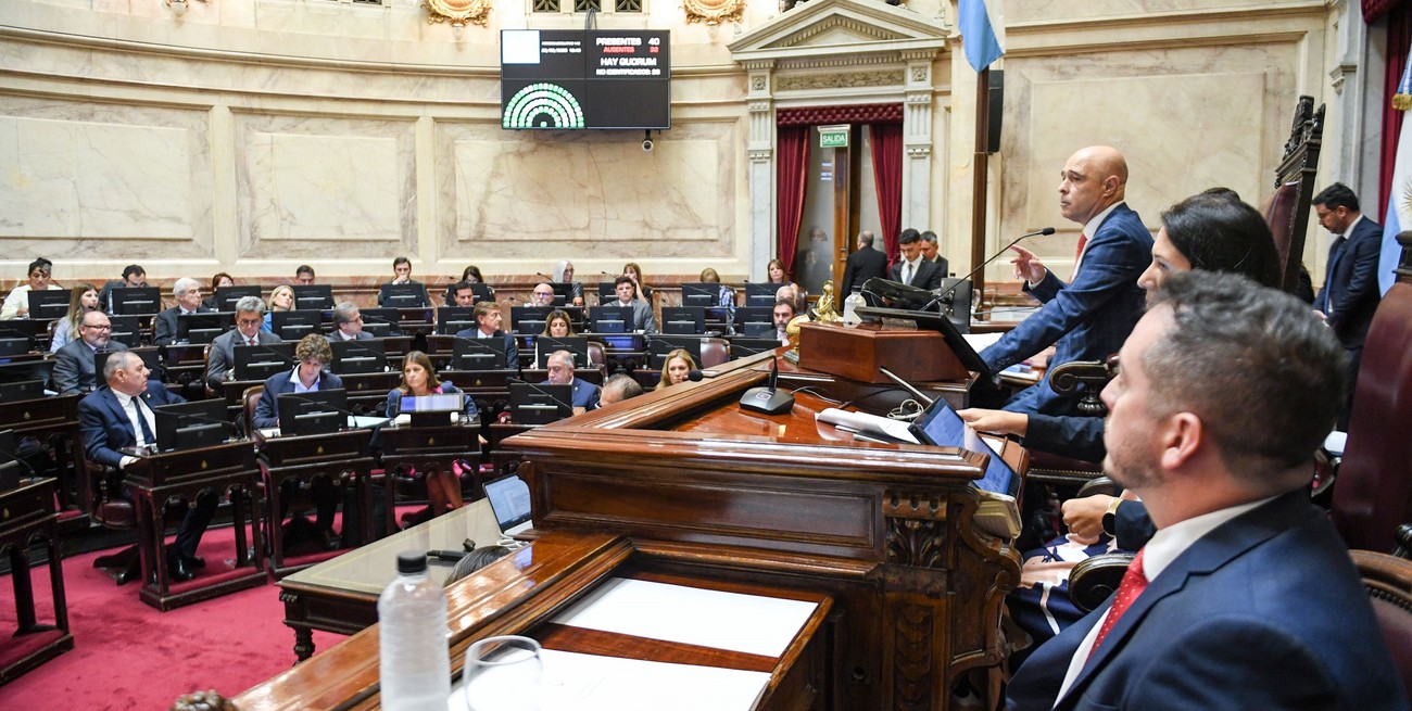 El Senado nacional debate la suspensión de las PASO