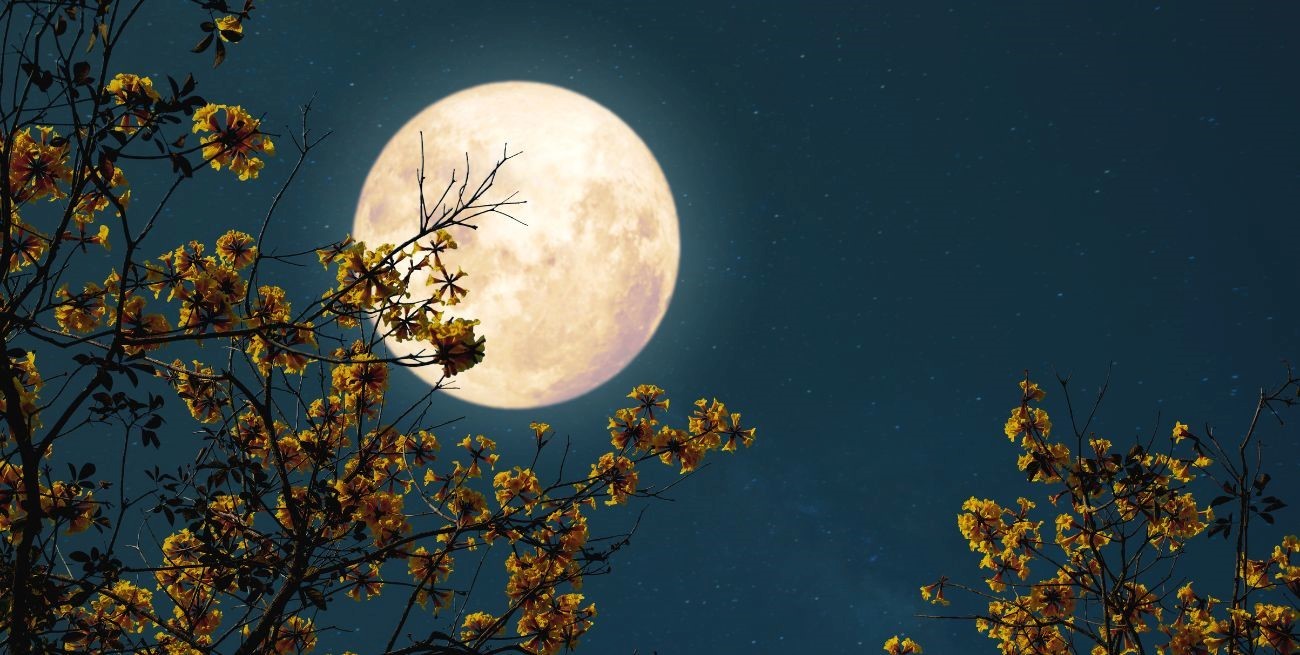 Cuándo serán las lunas llenas en 2025 y qué efecto tendrán en los signos