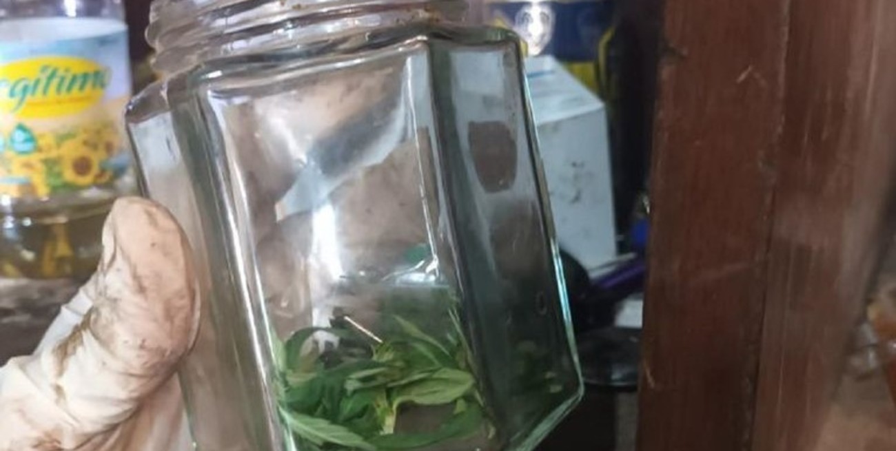 Cayó un clan narco en Venado Tuerto: drogas, armas y un expolicía implicado