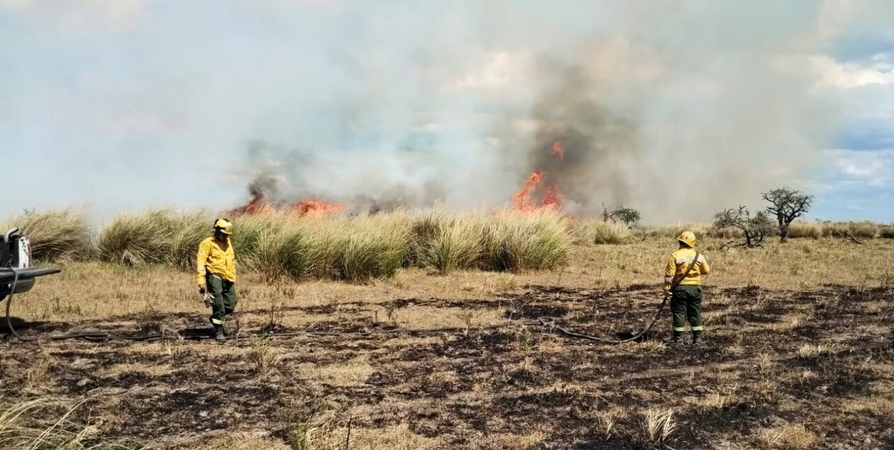 Bomberos trabajaron intensamente para controlar incendios en Cacique Ariacaiquín