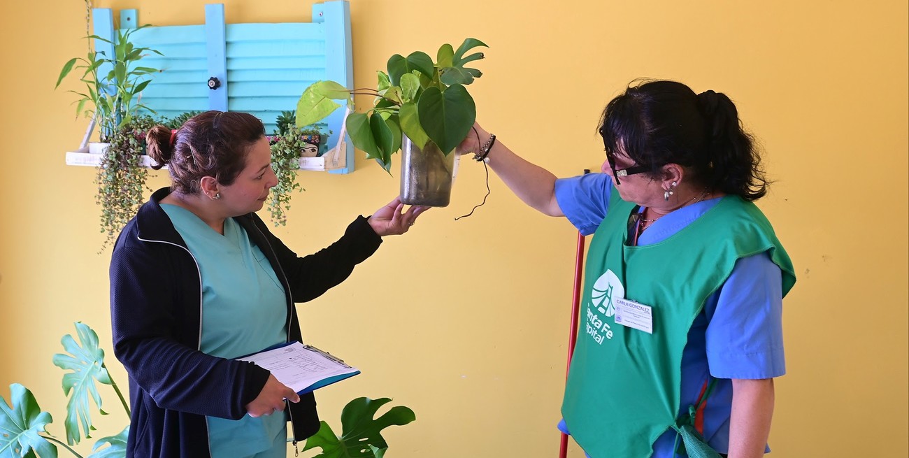 Dengue: dos localidades de Santa Fe en fase de brote y recaudos para toda la provincia