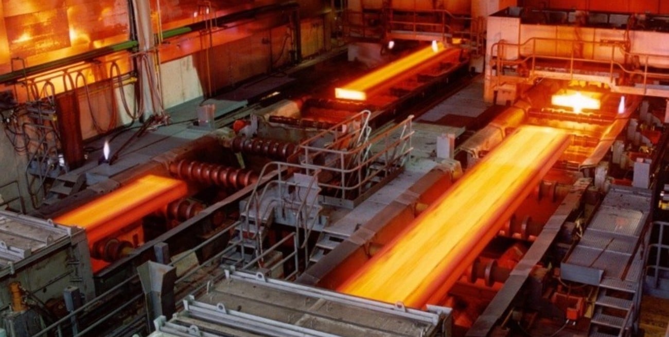 El Senado de Santa Fe se expidió ante la crisis del acero en Villa Constitución