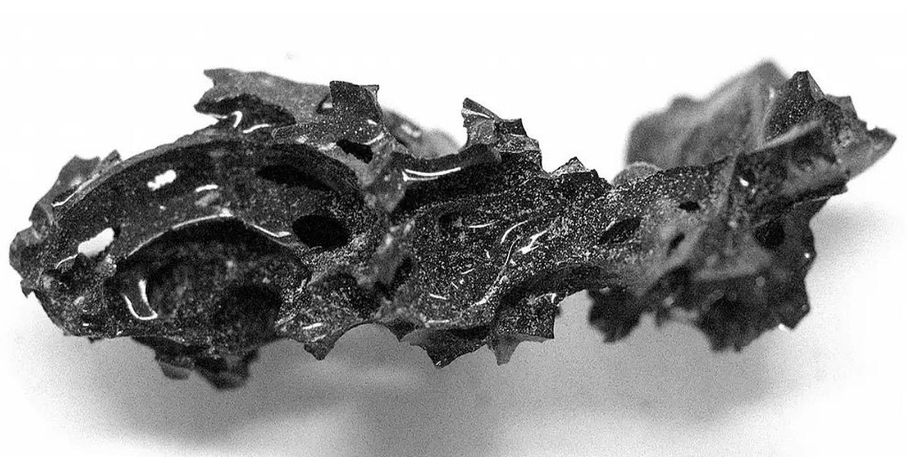 Descubrieron que un cerebro humano "se vitrificó" por la erupción del volcán Vesubio