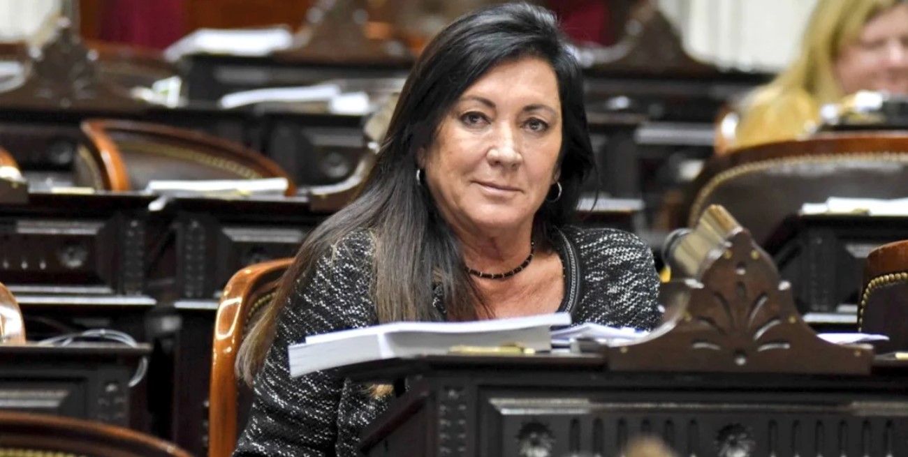 La Cámara de Diputados nacional apura el paso para bajar la edad de imputabilidad