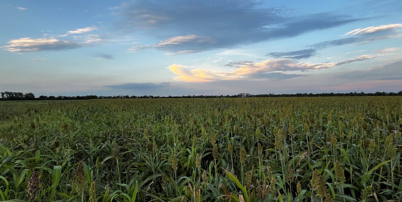 Se normalizan las lluvias, pero las altas temperaturas se extenderían hasta mayo