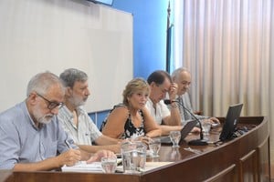 La presentación se realizó en la Fich. Crédito: Flavio Raina