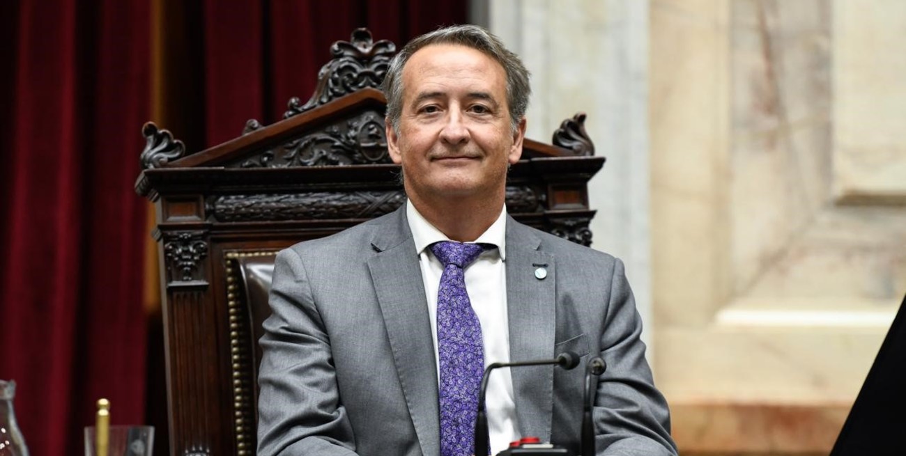 Mayoraz: "Vamos a generar un nuevo régimen penal para terminar con la delincuencia juvenil en Argentina"