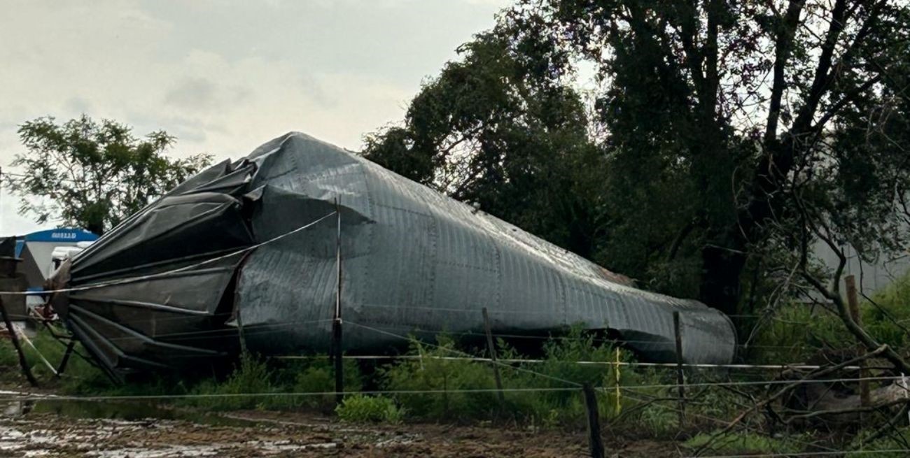 Amenábar sufrió un violento temporal que dejó árboles caídos, postes derribados y daños materiales en viviendas