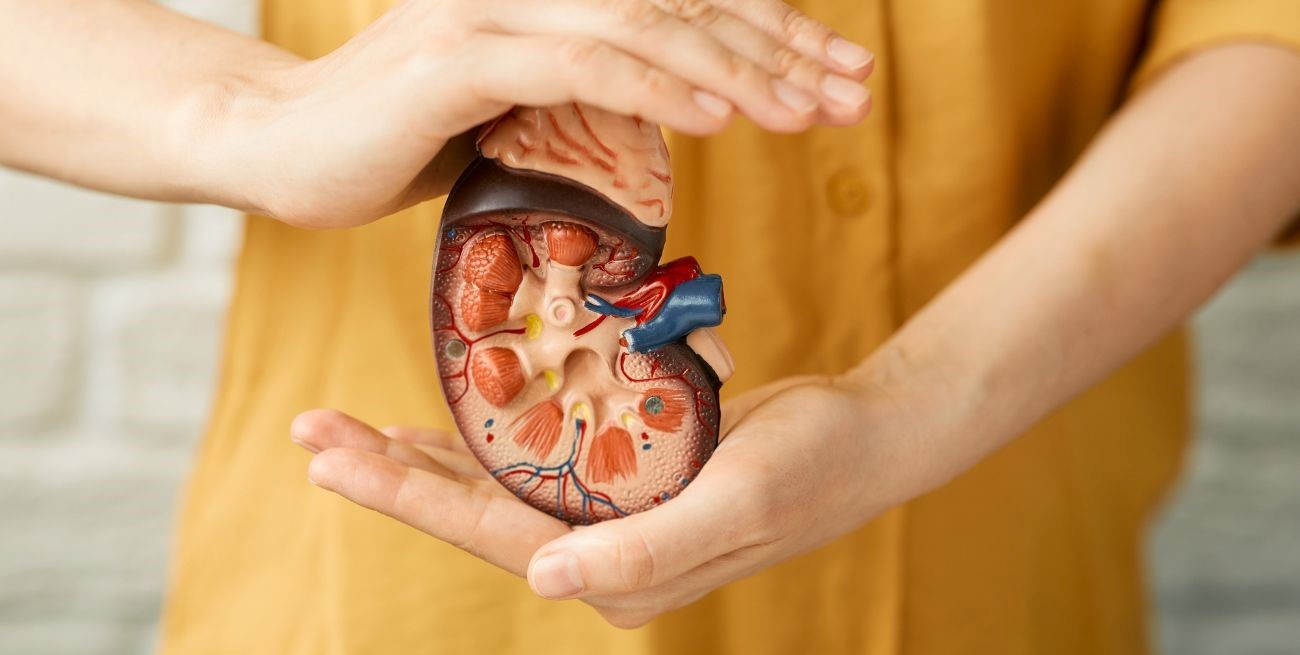 Día Mundial del riñón: 411 santafesinos esperan un trasplante