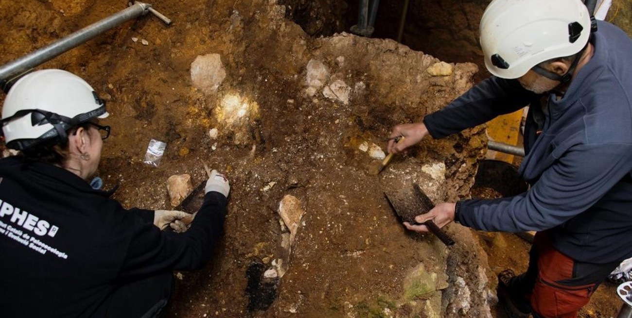 El rostro más antiguo de Europa Occidental: hallaron un posible ancestro desconocido de la especie humana