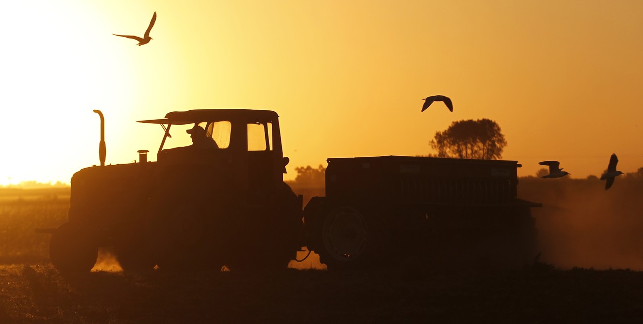 El consumo de gasoil de la cadena granaria rondaría 2.143 millones de litros en 2024/2025