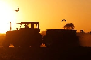 Las ventas de tractores importados crecieron 28,1%, mientras las nacionales cayeron 37,2% y el segmento total retrocedió 26,6%. Foto: REUTERS / Enrique Marcarian.