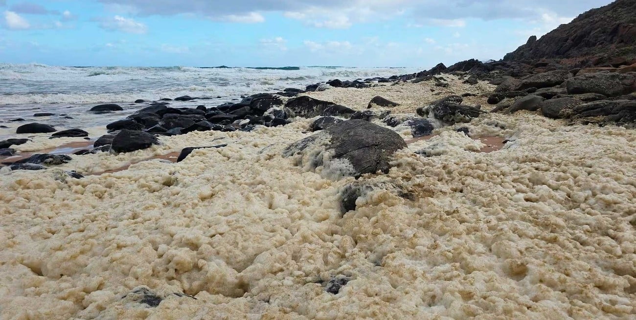 Cierre de playas en Australia por espuma tóxica y peces muertos: surfistas afectados