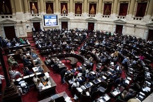 De los 19 diputados nacionales santafesinos, 11 votaron a favor, 7 en contra y hubo 1 ausente. Foto: Agencia Xinhua