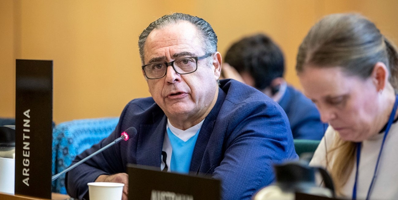 Tras la polémica con Cavallo, el gobierno designó reemplazante para su hija ante la OEA