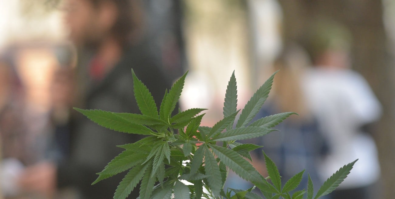 Arroyo Leyes: detenido con marihuana en una garita de colectivos