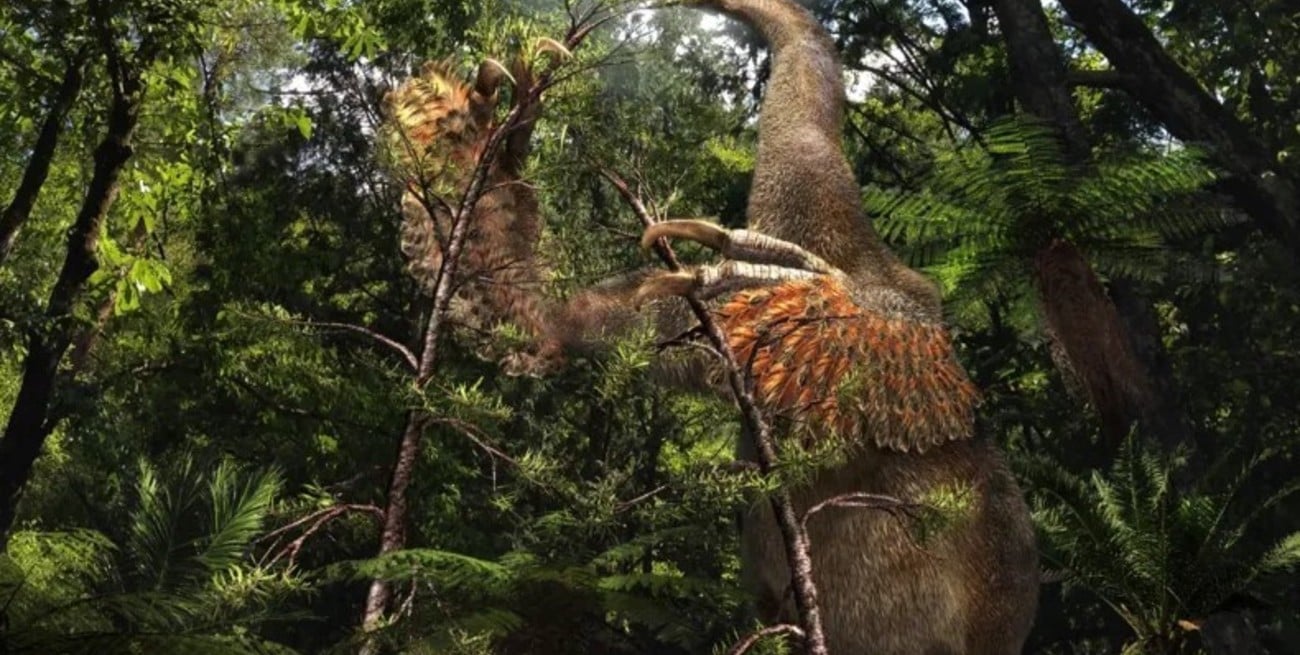 Hallaron una especie desconocida de dinosaurio con dos enormes garras similares a las uñas humanas