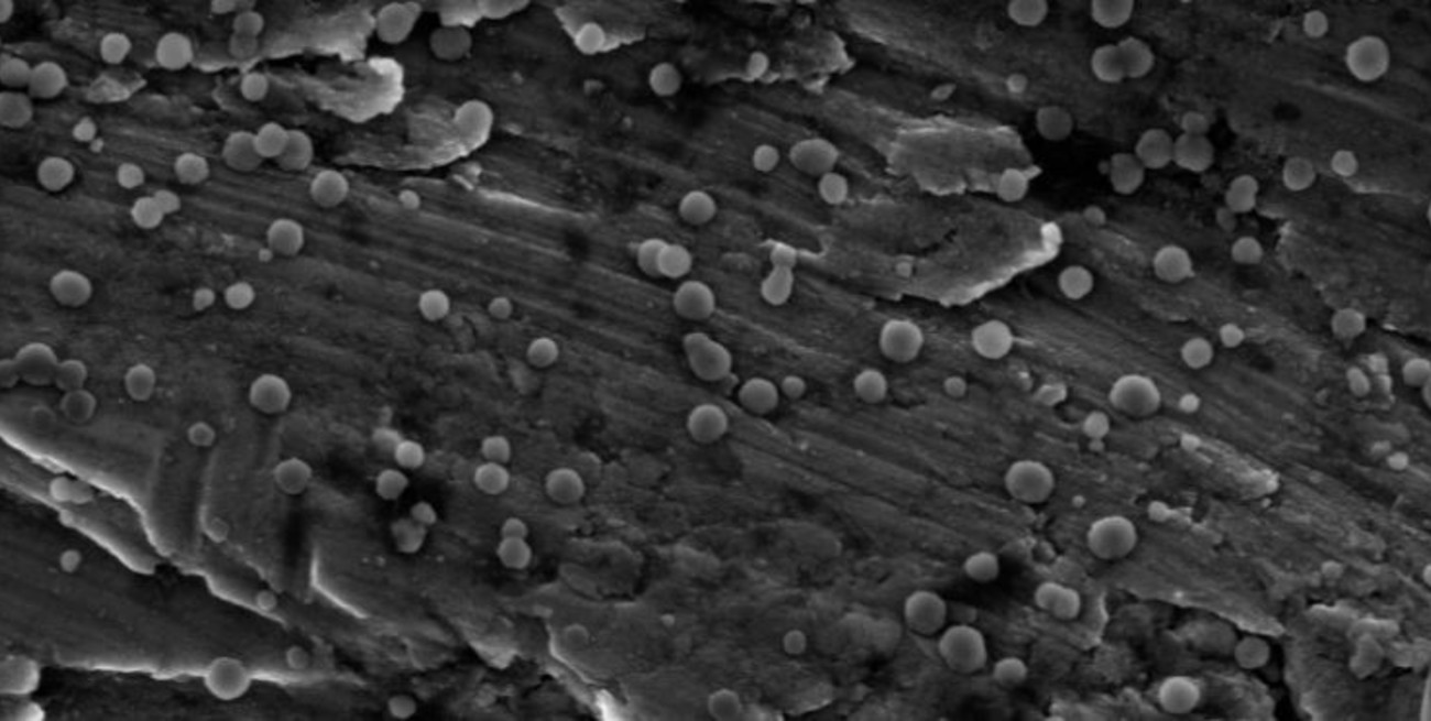 Con nanotecnología, agua segura para más personas