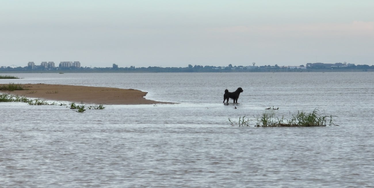 Con poca agua en el Paraná, la Setúbal vuelve a mostrar sus extensas orillas
