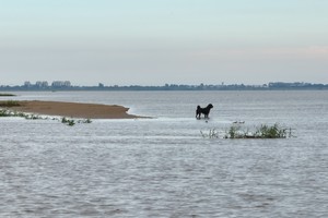 Los mal llamados bancos de arena, no son otra cosa que barro y arcilla. Foto: Fernando Nicola