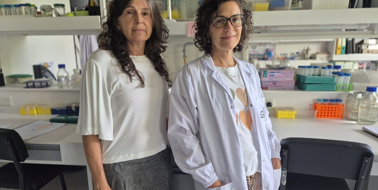 Identifican un mecanismo celular que permite el "ajuste fino" del metabolismo energético