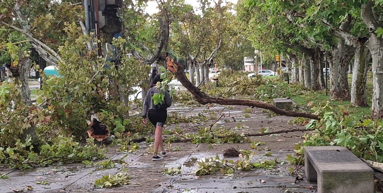 Javier Milei destinó 4 mil millones de pesos para ayudar a los santafesinos afectados por las tormentas