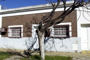 Un lector advierte sobre la cantidad de árboles secos que hay en la ciudad de Santa Fe.