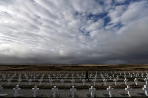 "Los cuerpos y las almas de los que quedaron para siempre...". Foto: Cementerio Darwin. Reuters.