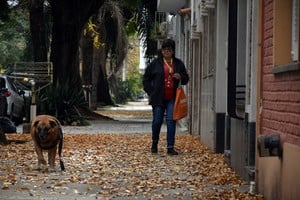 El otoño llegó a Santa Fe. 