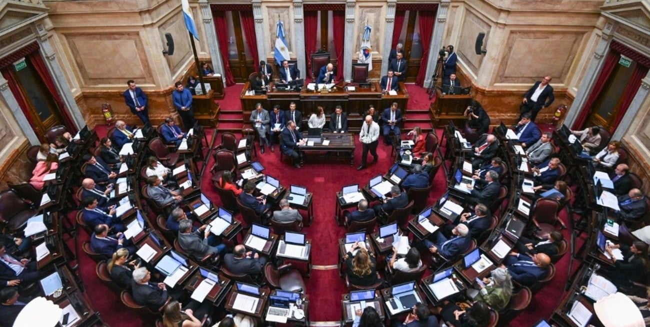 El Senado pospuso el debate sobre Ficha Limpia para rendir homenaje al Papa Francisco​