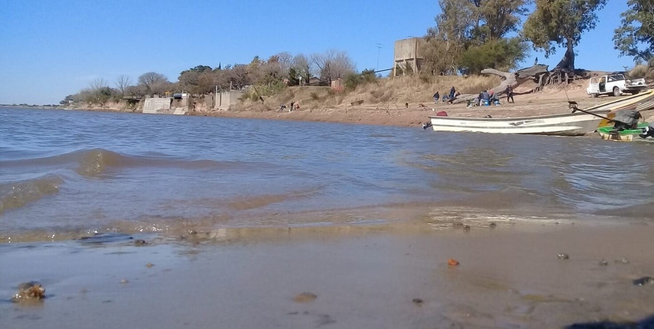 Cientos de peces de gran tamaño aparecieron flotando muertos en el río a la altura de Puerto Aragón