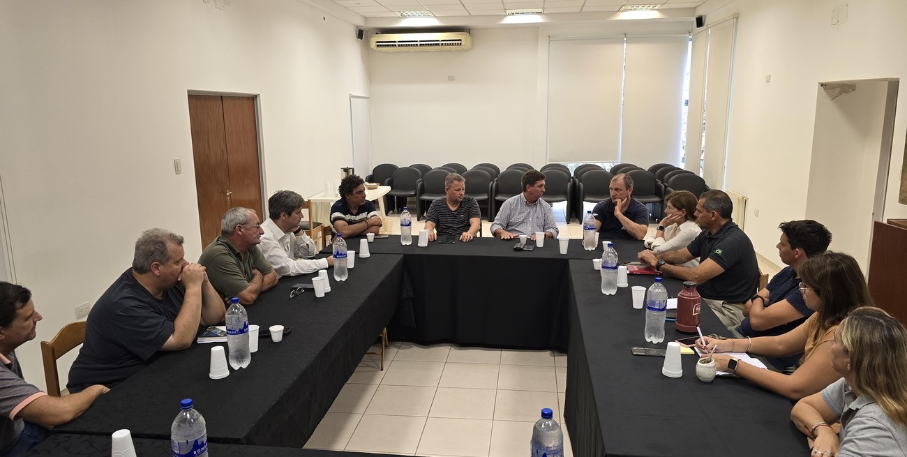 Pirola en CICAE: "la reforma constitucional debe responder a las verdaderas necesidades de nuestro territorio"