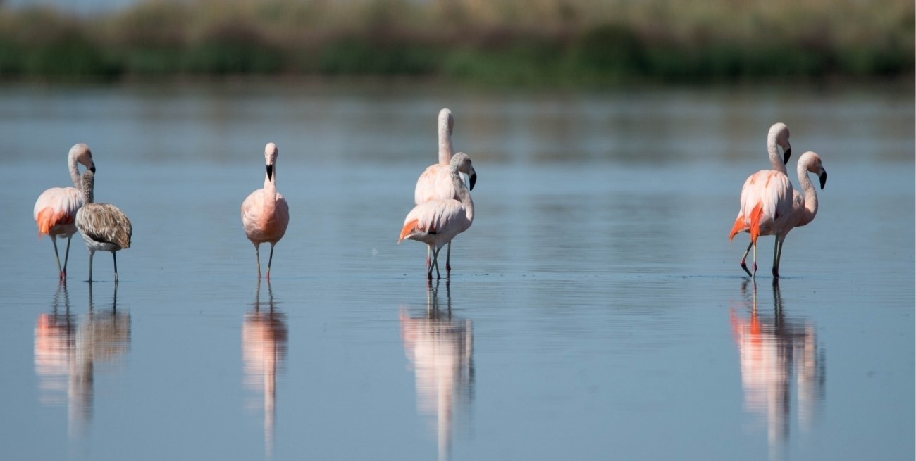 Semana Santa: las lagunas del sur se preparan con expectativas