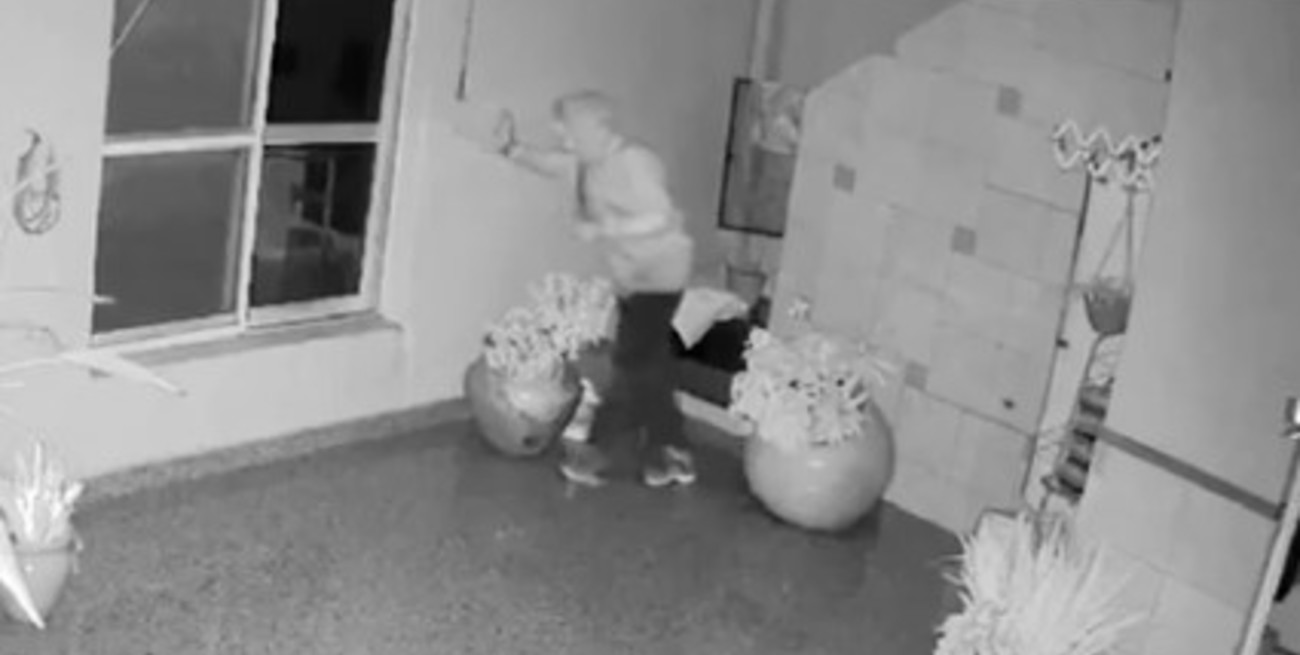 Video: una alarma hizo saltar a los dueños de casa y al ladrón