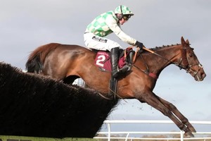 Celebre d'Allen falleció a los 13 años