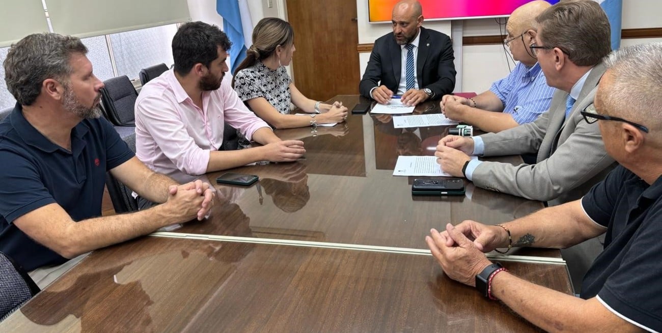 Borla confirmó que son cuatro las empresas que presentaron ofertas para la obra de energía en Videla