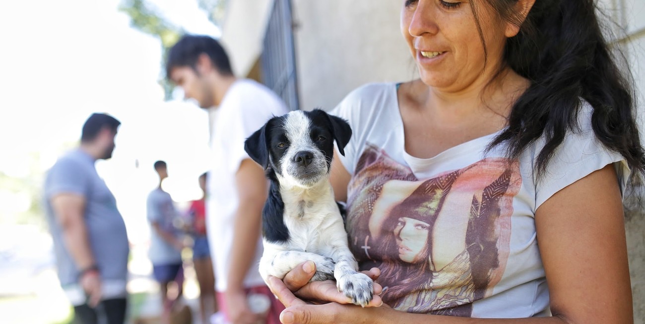 Realizarán castraciones masivas en dos barrios de la ciudad de Santa Fe