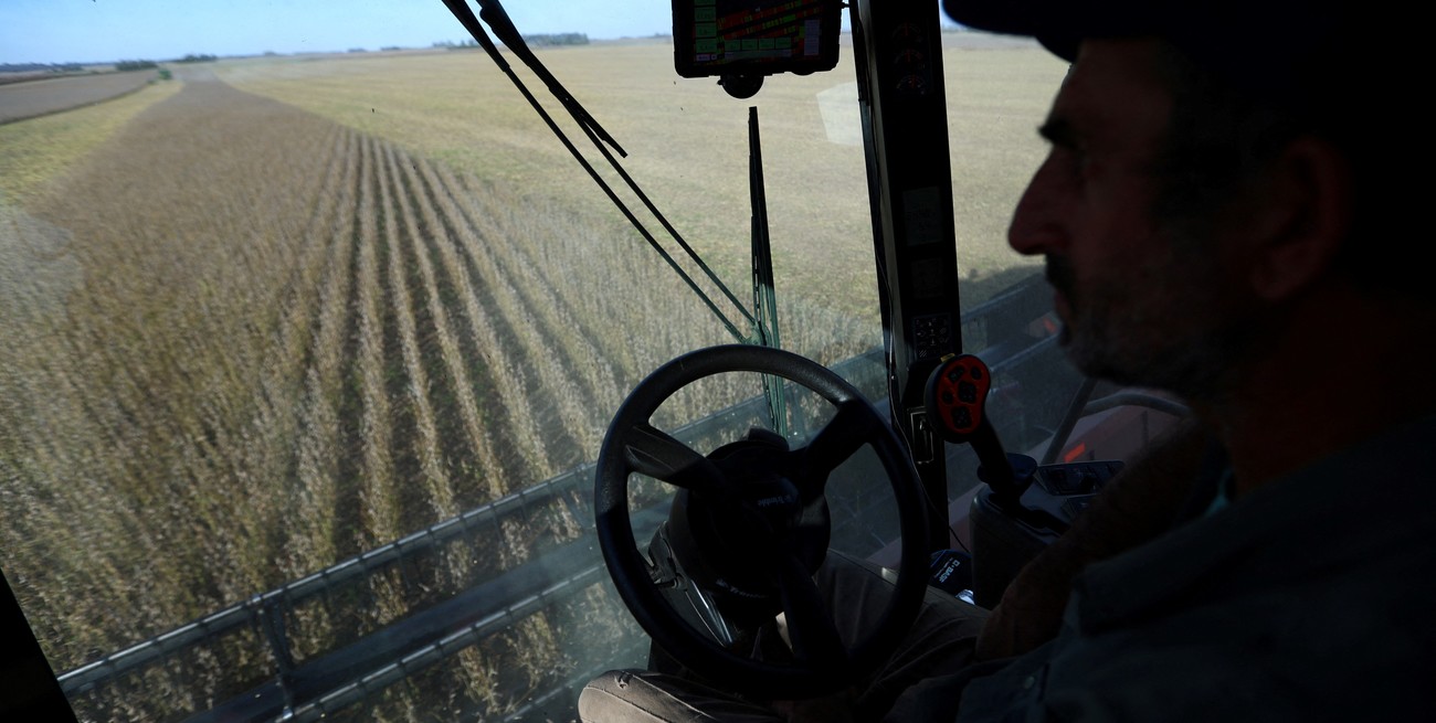El mal tiempo afloja y la cosecha sojera avanzó a fondo sobre 500.000 hectáreas
