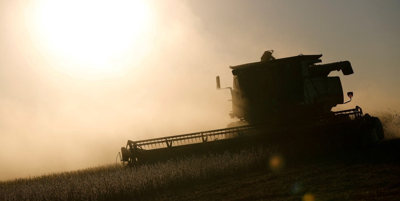 La actividad agroindustrial cayó levemente en marzo pero continuó por encima del nivel del año pasado