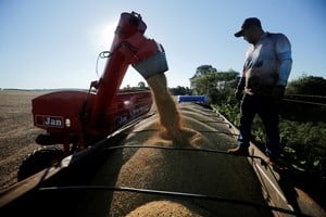 Actualmente, los fondos mantienen posiciones compradas por más de 12,5 millones de toneladas de soja y más de 11 millones de toneladas de maíz en Chicago.