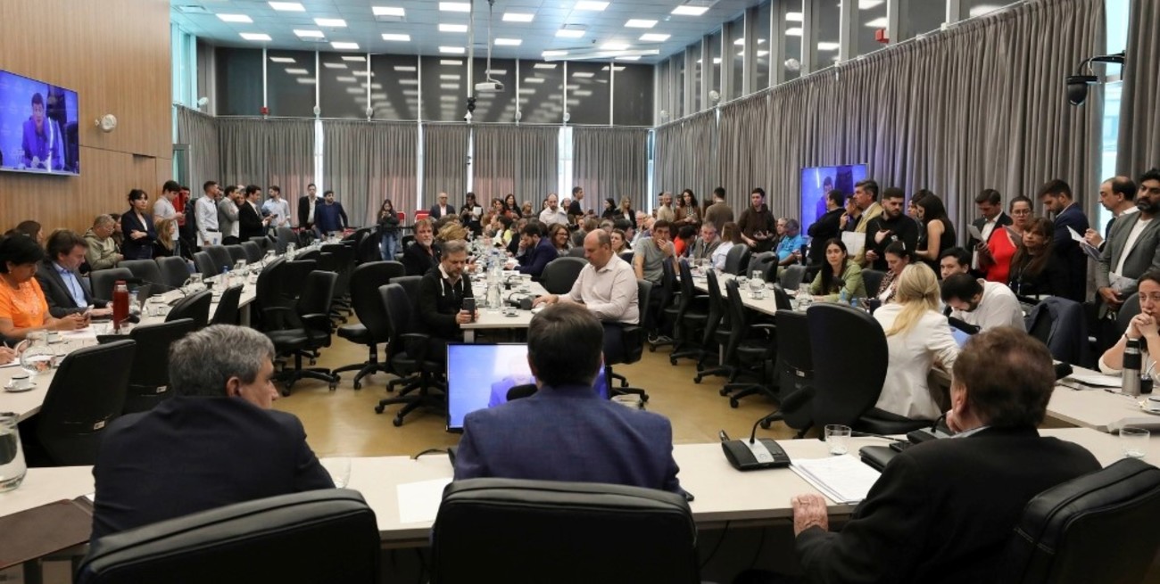 Diputados avanza en una ley en discapacidad, con eje en "prestaciones, pensiones y estigmatización"